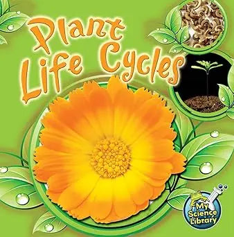 Rourke Educational Media Plant Life Cycles - Paperback Rourke Educational Media