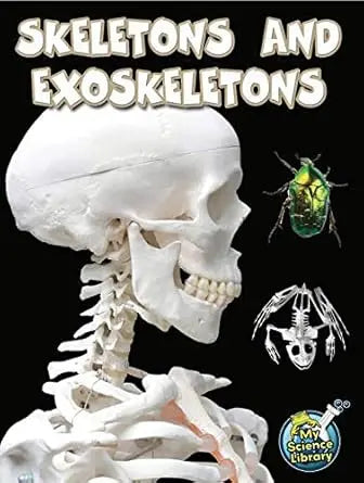 Rourke Educational Media Skeletons and Exoskeletons (My Science Library) Paperback Rourke Educational Media