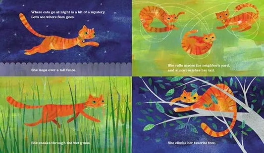 Mapping Sam - Paperback Greenwillow Books