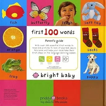 First 100 Words (Bright Baby) - Hardcover Priddy Books US