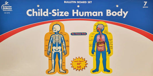 Child-Size Human Body Bulletin Board Set Carson Dellosa