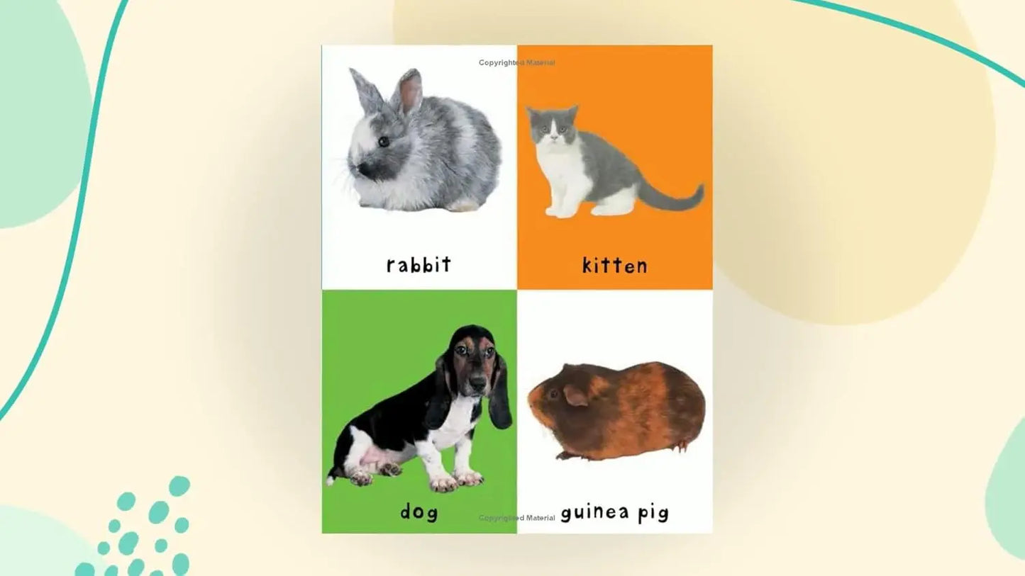 First 100 Animals - Board Book Priddy Books