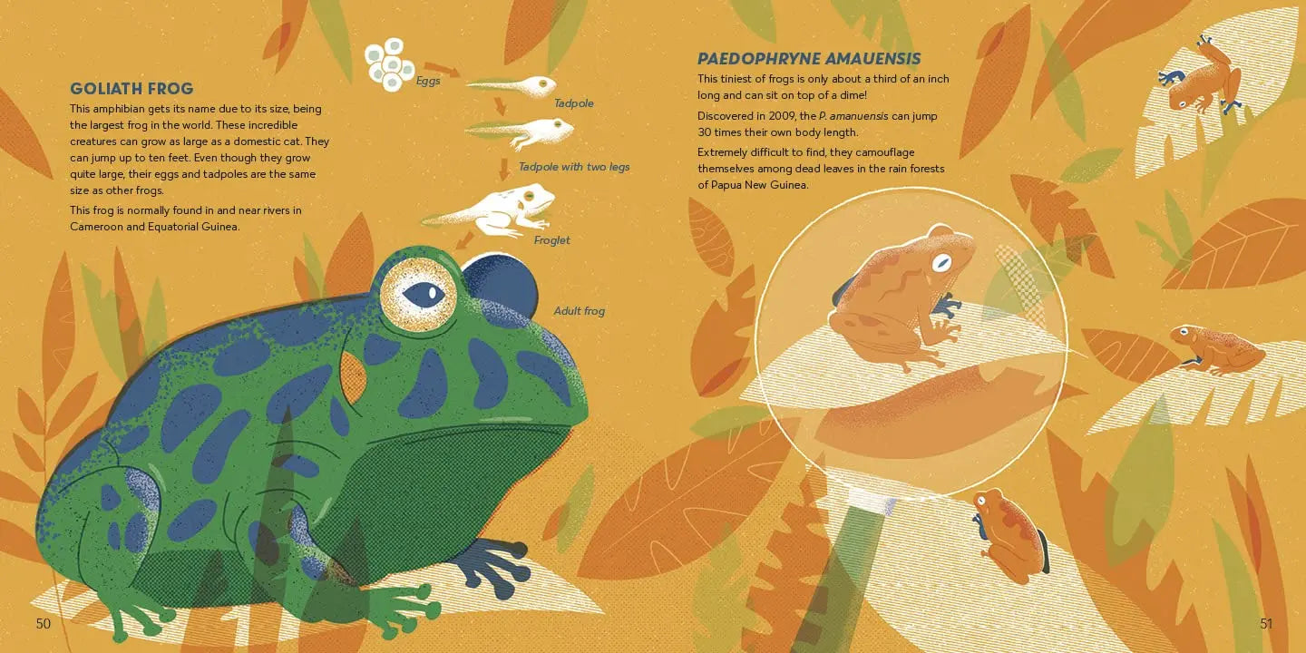 Amazing Animals Around the World Penguin Workshop