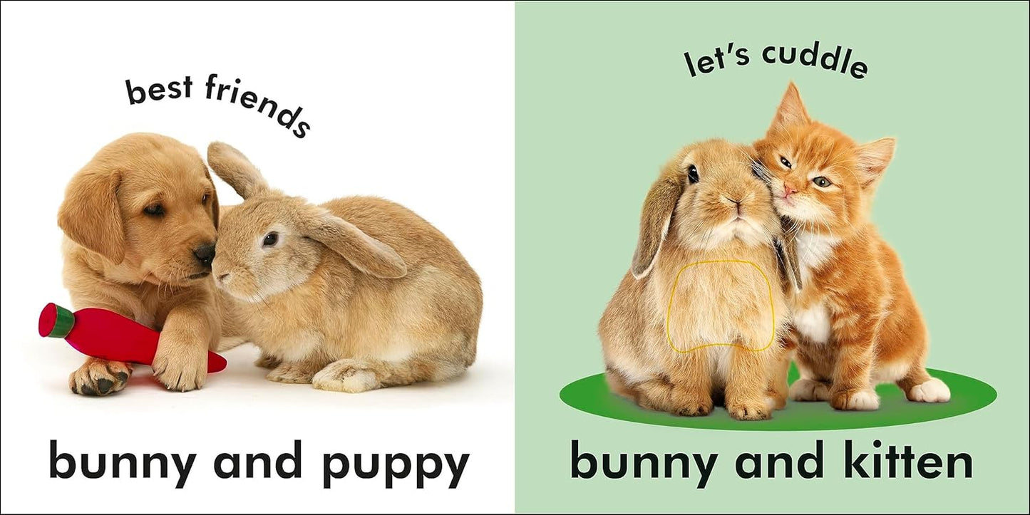 Bunny - Touch and Feel
