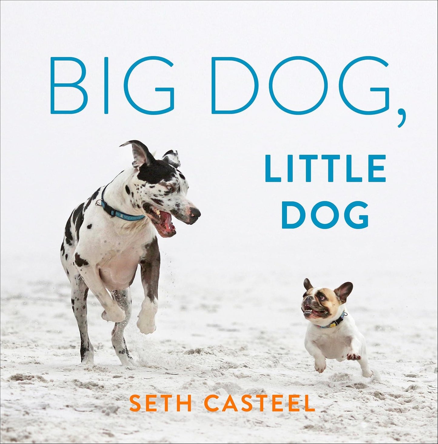 Big Dog, Little Dog - Seth Casteel | Capa Dura