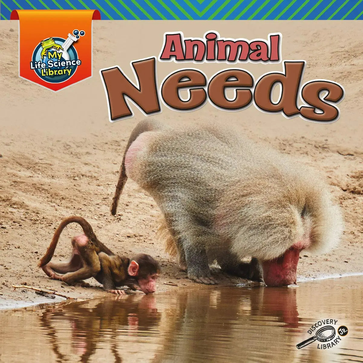 Animal Needs Hardcover Discovery Library Jr