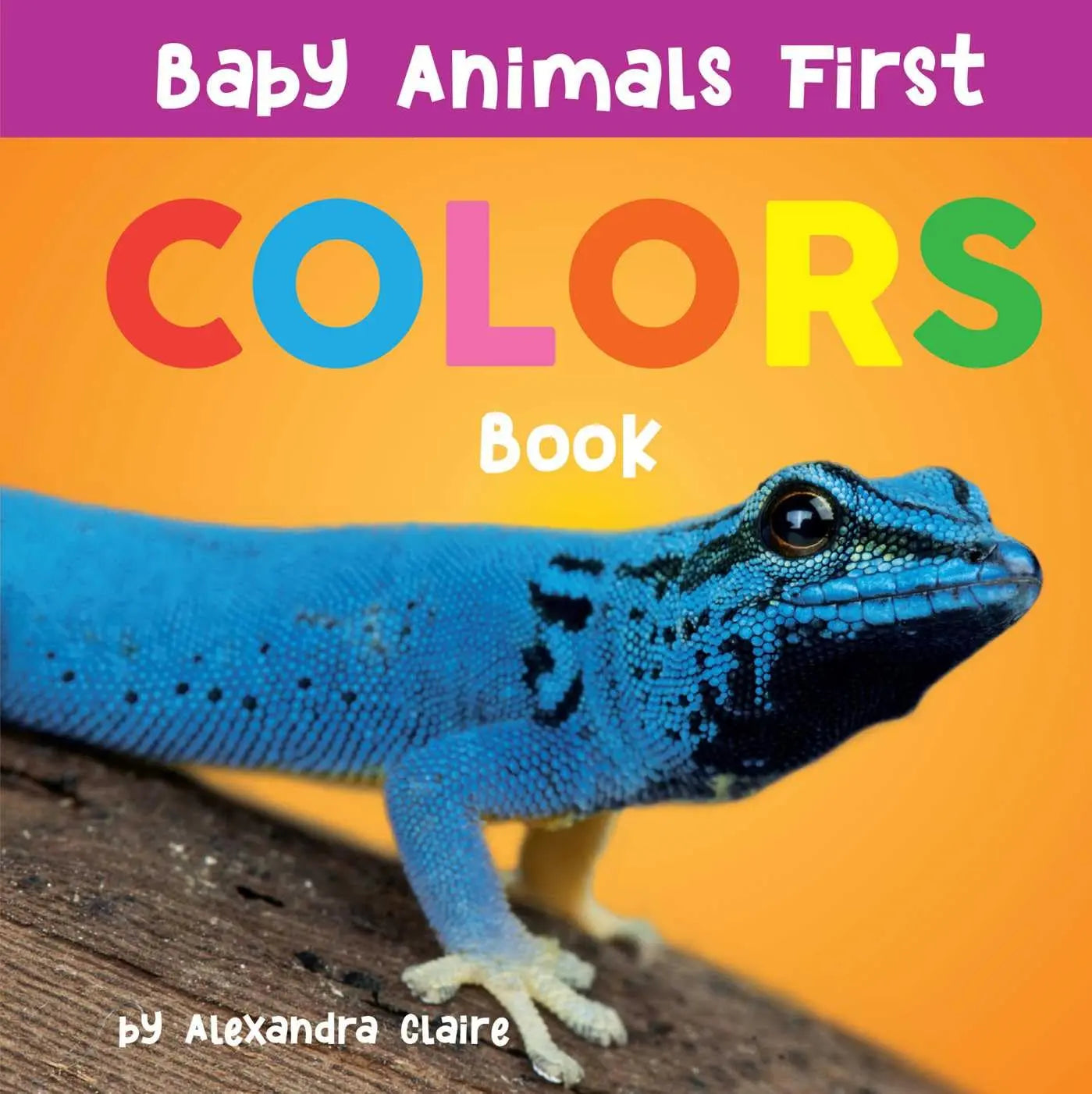Baby Animals First Colors Book The Collective Book Studio