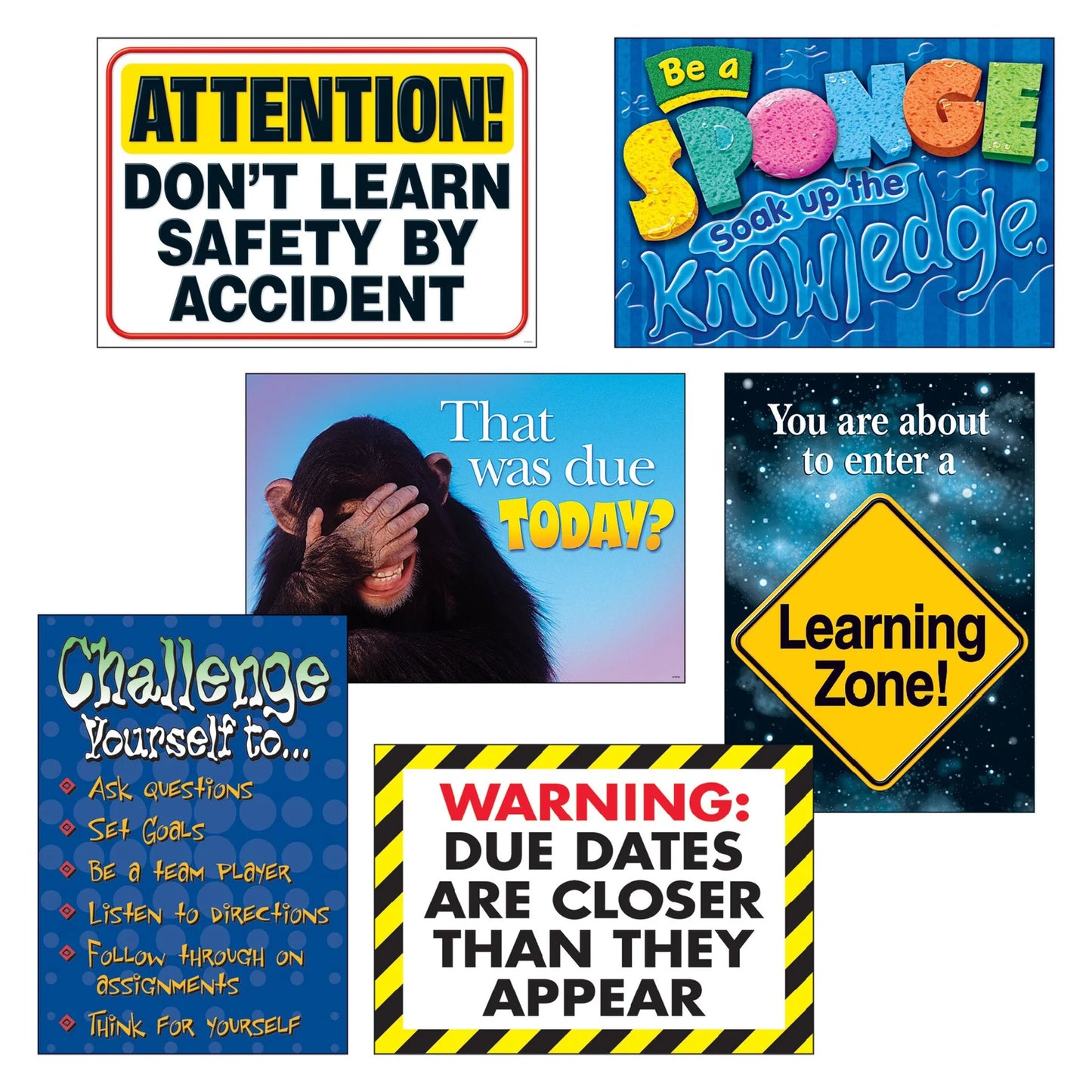 Learning Zone ARGUS® Posters Combo Pack