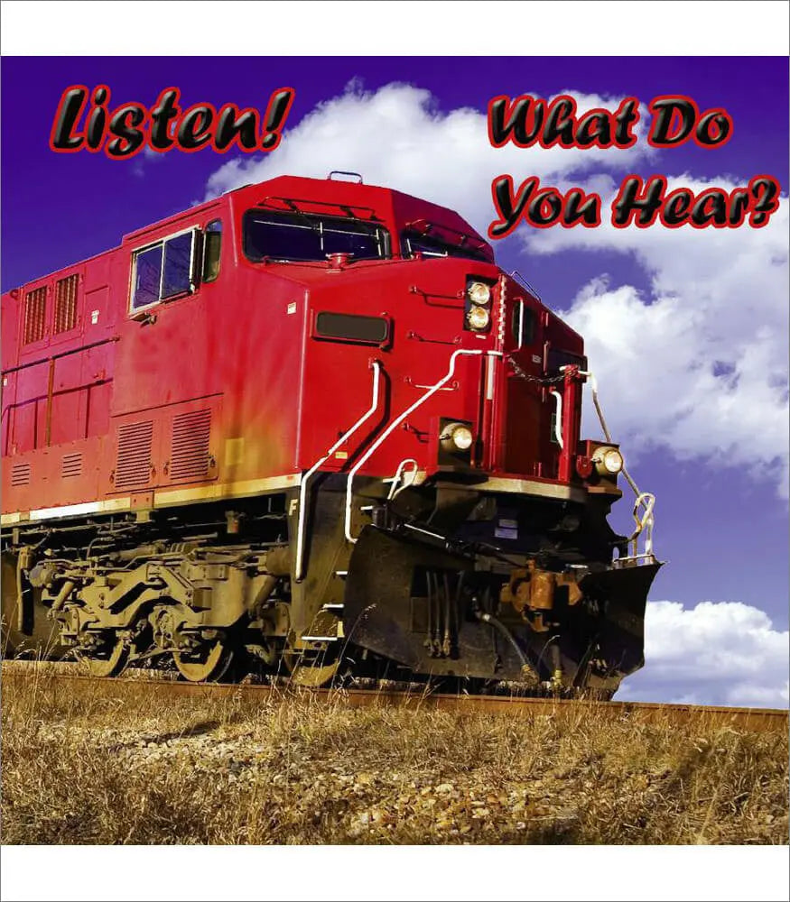 Listen! What Do You Hear? Board Book Carson-Dellosa