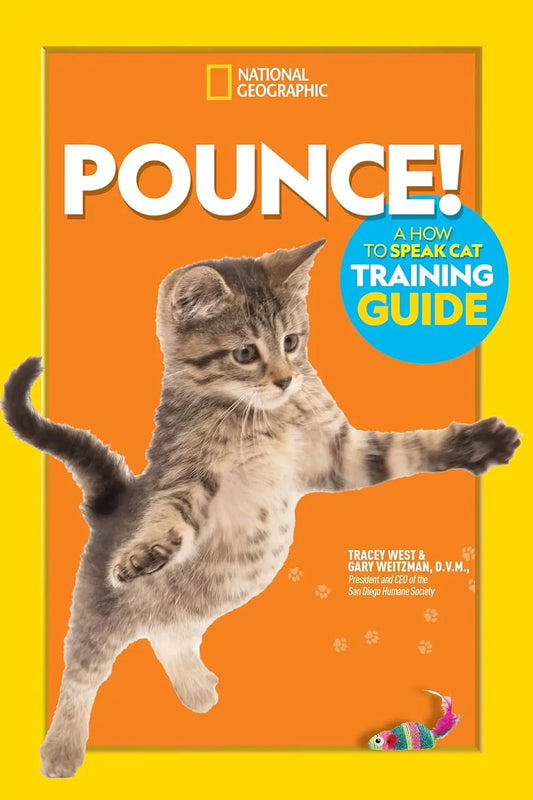 Pounce! A How To Speak Cat Training Guide National Geographic Kids