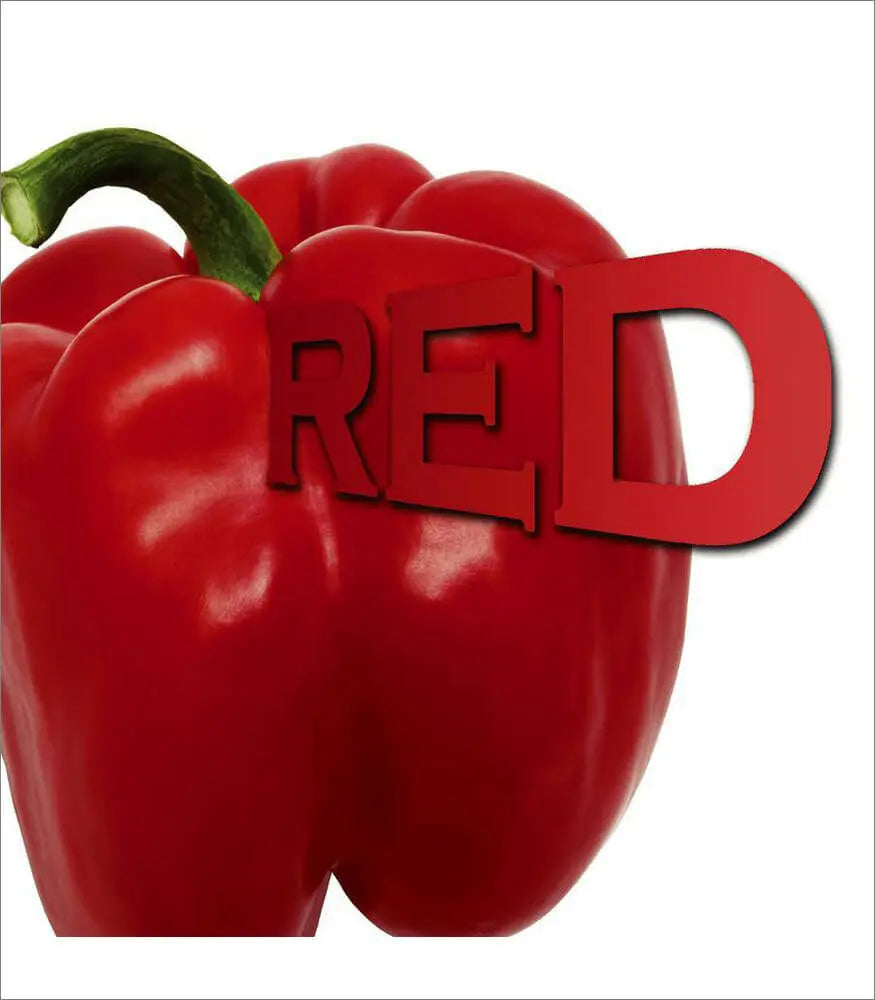 Red Board Book Carson-Dellosa