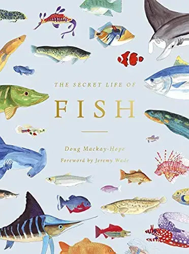 The Secret Life of Fish Ivy Press Limited