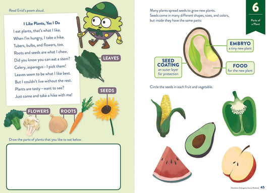 TinkerActive Workbooks: Kindergarten Science Odd Dot