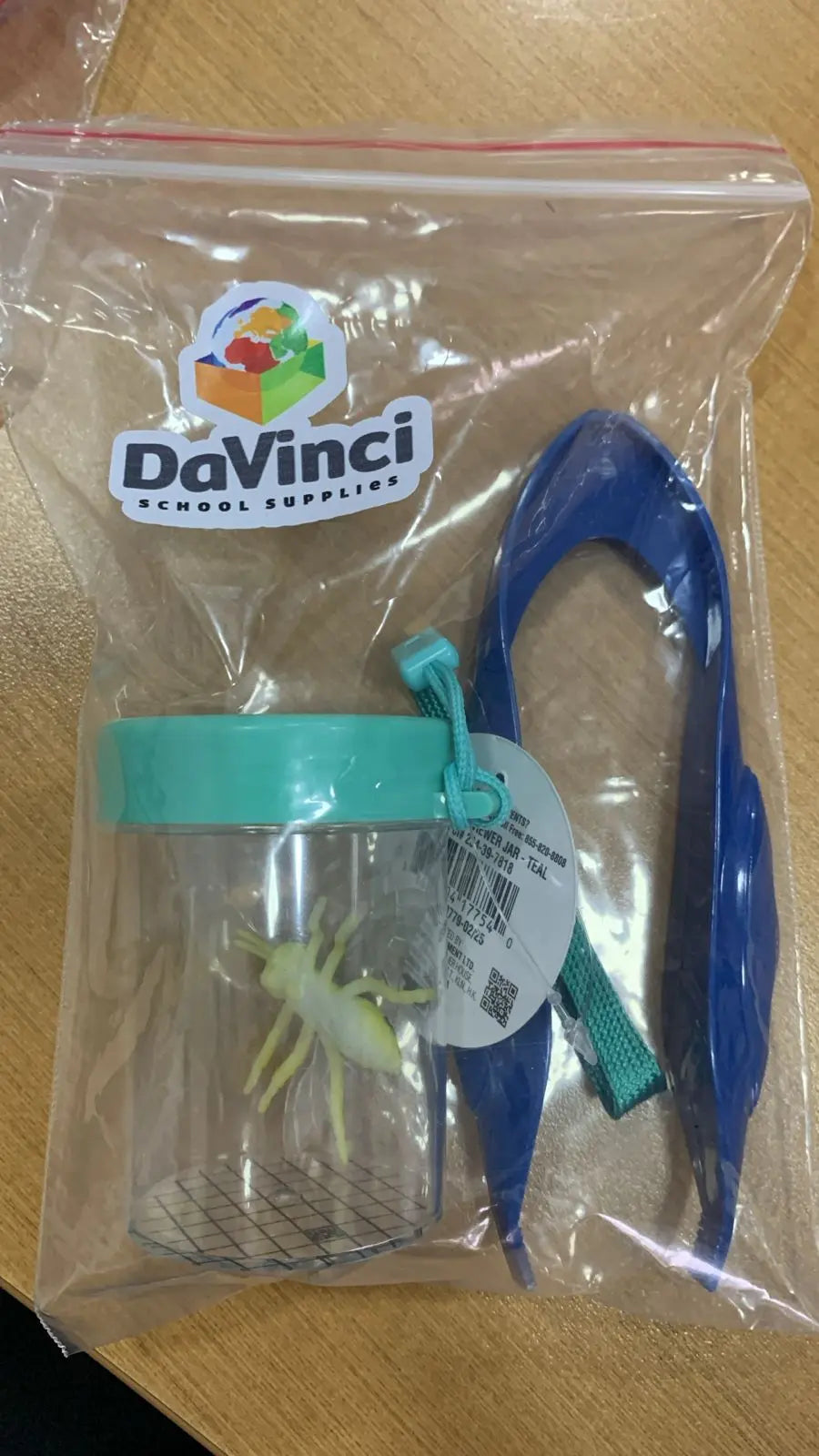 Bug Viewer Jar Teal - Bullseye's Playground Kit inseto Lupa e pinça Bullseye's Playground