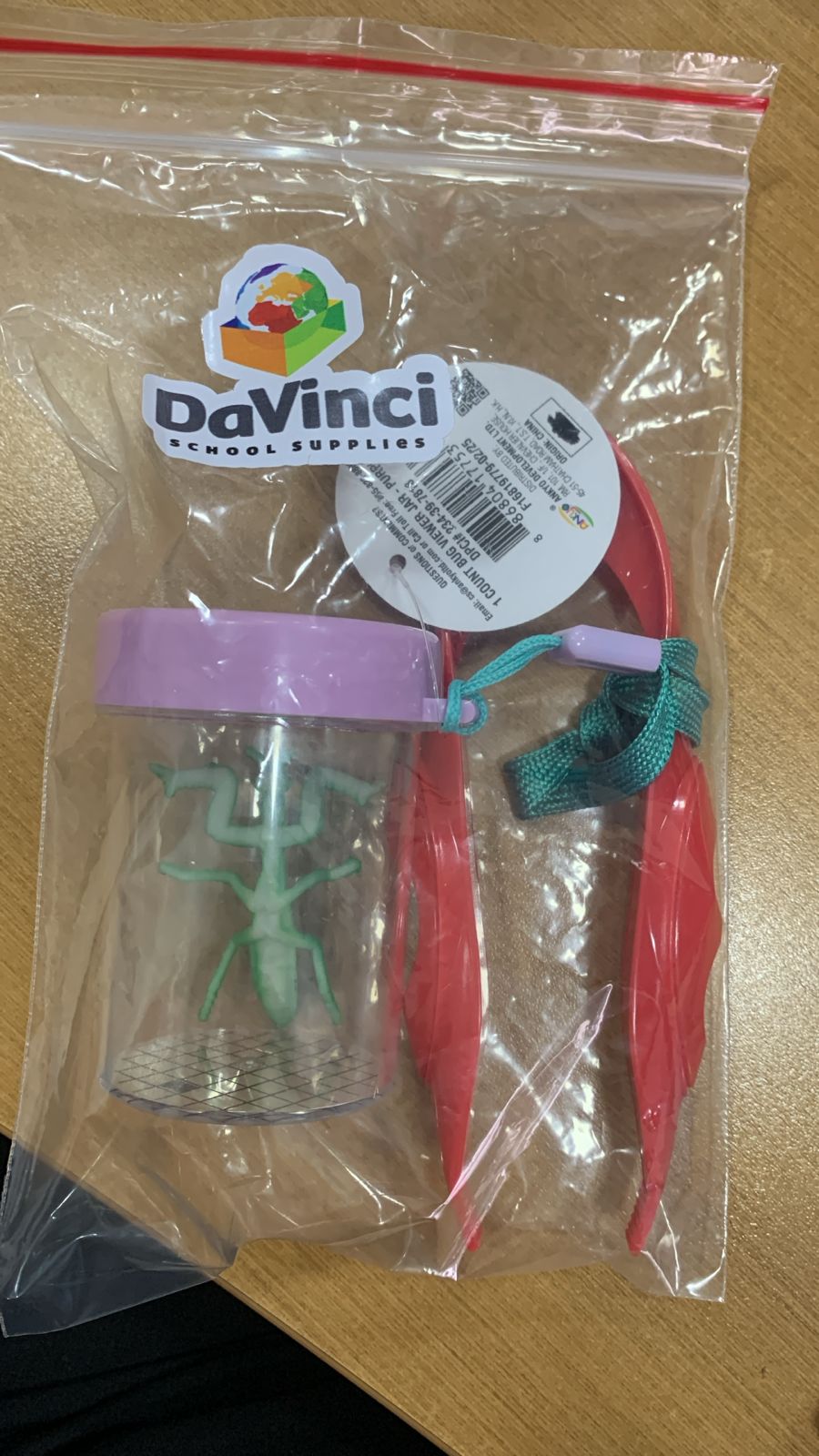 Bug Viewer Jar Purple - Bullseye's Playground Kit inseto Lupa e pinça