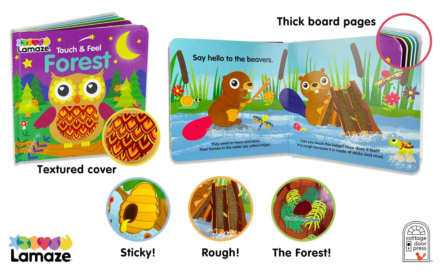Forest: Touch & Feel Cottage Door Press