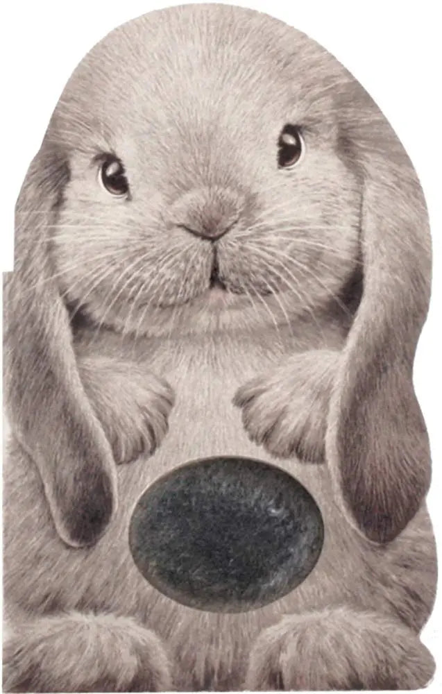 Furry Bunny (Mini Friends Touch & Feel) B.E.S. Publishing