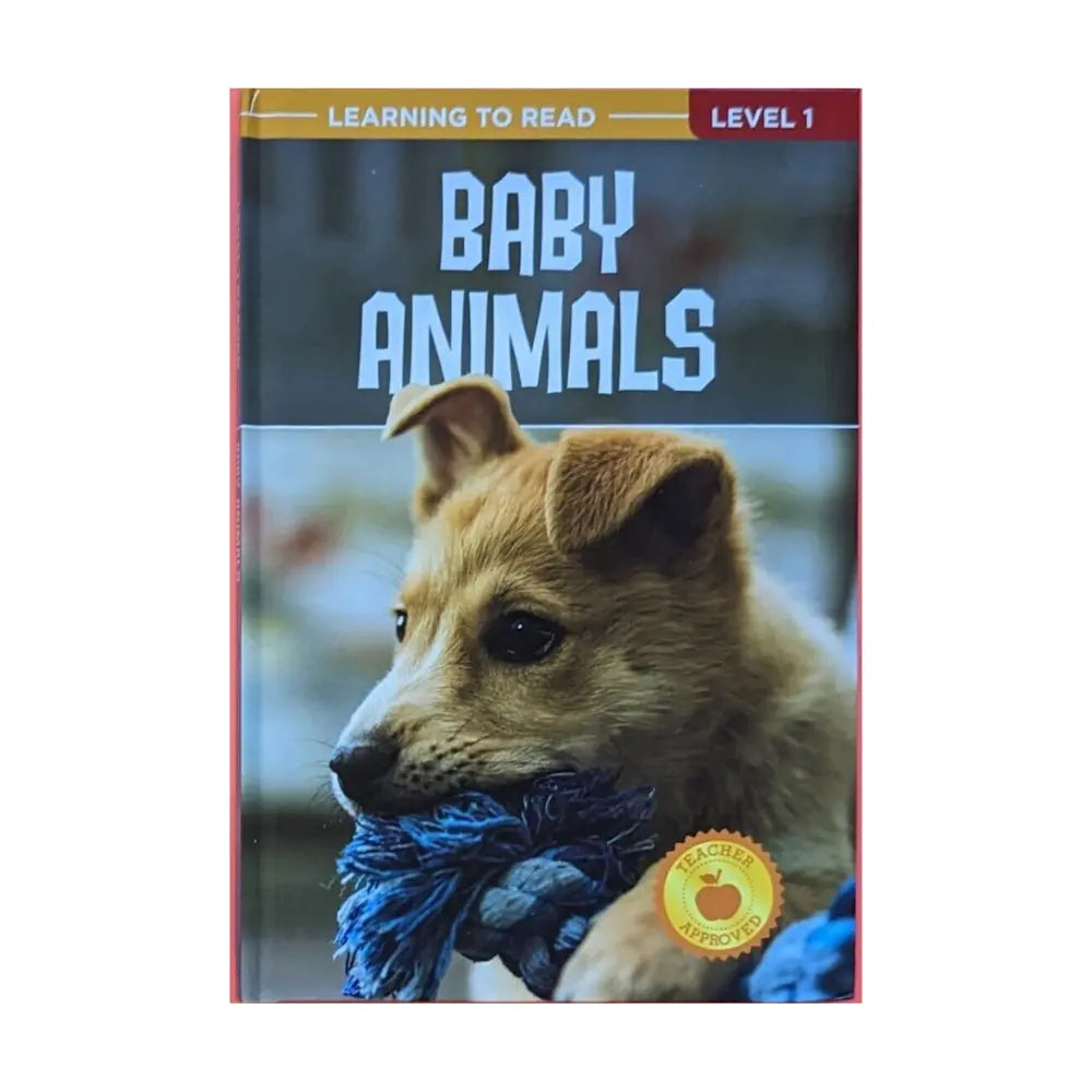 Baby Animals The Clever Factory