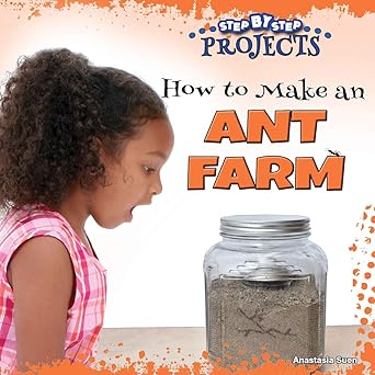 How to Make an Ant Farm (Step-by-Step Projects)