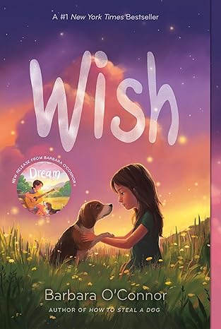 Wish - Brbara O'Connor