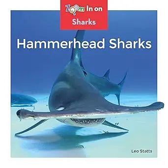 Hammerhead Sharks - Leo Statts Launch!