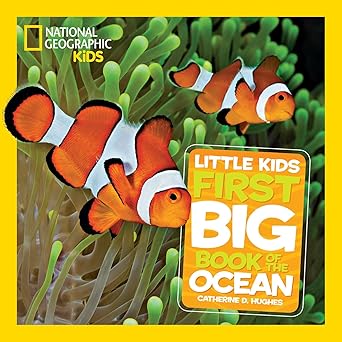 First Big Book of the Ocean - National Geographic Little Kids