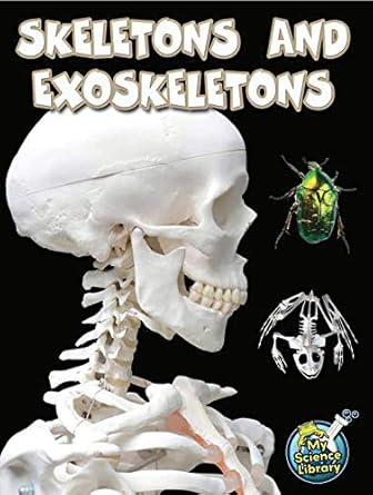 Rourke Educational Media Skeletons and Exoskeletons (My Science Library) Paperback