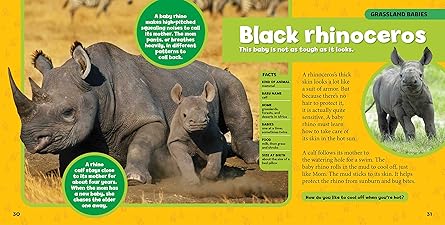 Little Kids First Big Book Of Baby Animals - National Geographic Kids