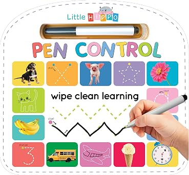 Write - and - Wipe - Pen Control