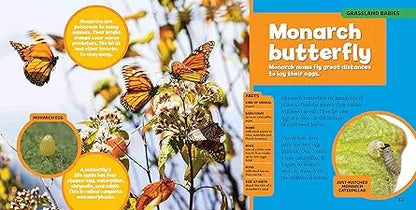 Little Kids First Big Book Of Baby Animals - National Geographic Kids National Geographic Kids