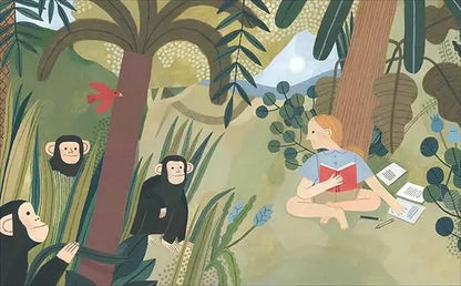 Jane Goodall: Little People, Big Dreams. Mini Board book Insel Verlag GmbH