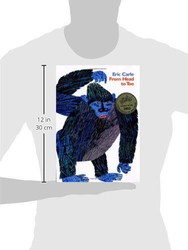 From Head to Toe Hardcover