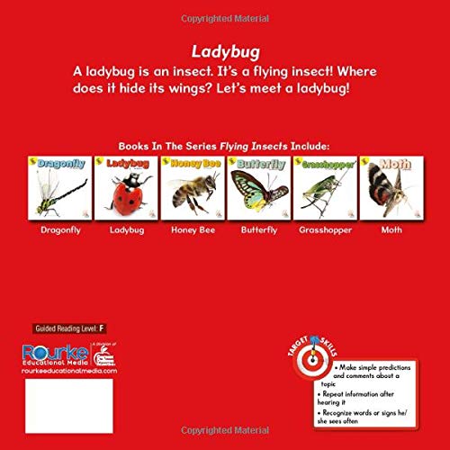 Flying Insects Ladybug | Capa Dura