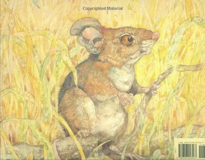 The Lion & the Mouse (Caldecott Medal Winner) Little, Brown Books for Young Readers