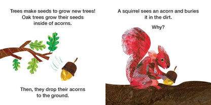 How Does a Seed Sprout? - Life Cycles with The Very Hungry Caterpillar (The World of Eric Carle) World of Eric Carle
