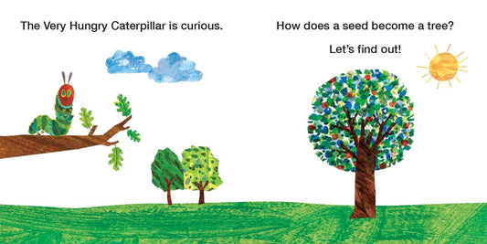 How Does a Seed Sprout? - Life Cycles with The Very Hungry Caterpillar (The World of Eric Carle)
