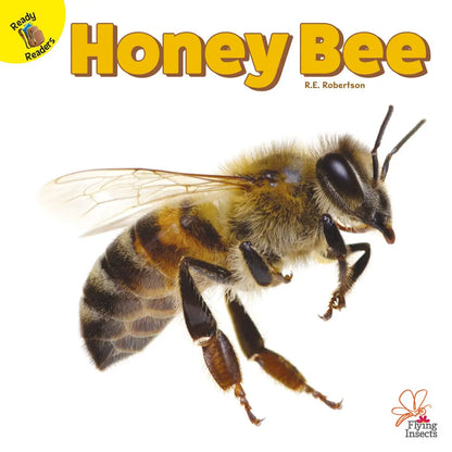 Flying Insects Honey Bee | Capa Dura Ready Readers