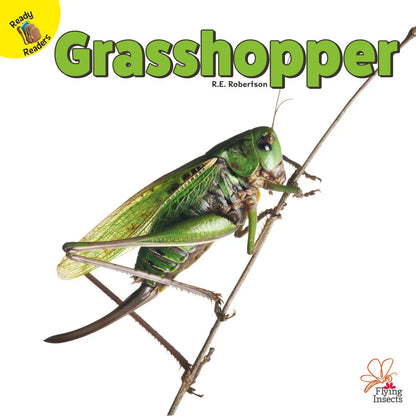 Flying Insects Grasshopper | Capa Dura Ready Readers