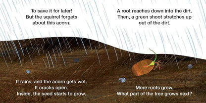 How Does a Seed Sprout? - Life Cycles with The Very Hungry Caterpillar (The World of Eric Carle) World of Eric Carle
