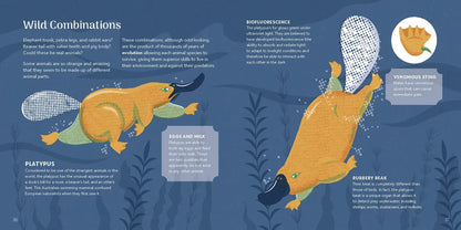 Amazing Animals Around the World Penguin Workshop