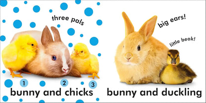 Bunny - Touch and Feel DK Publishing