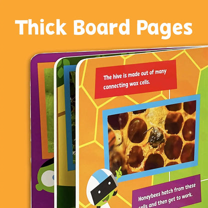 Bees! A PBS Kids Lift-a-Flap Board Book for Babies and Toddlers, Ages 1-4 Cottage Door Press