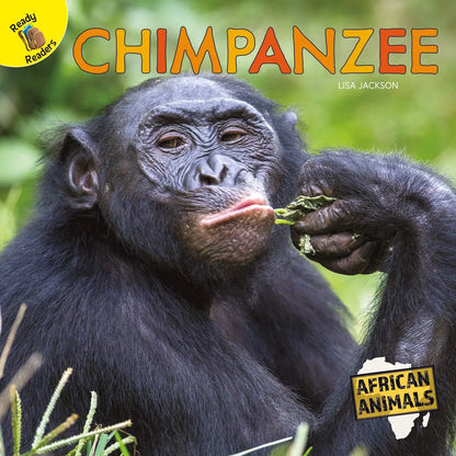 African Animals - Chimpanzee | Capa Dura Ready Readers