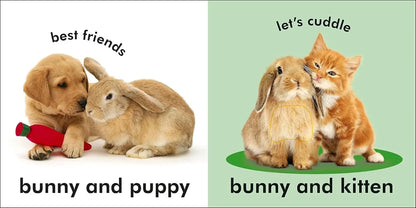 Bunny - Touch and Feel DK Publishing