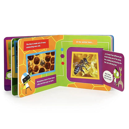Bees! A PBS Kids Lift-a-Flap Board Book for Babies and Toddlers, Ages 1-4 Cottage Door Press