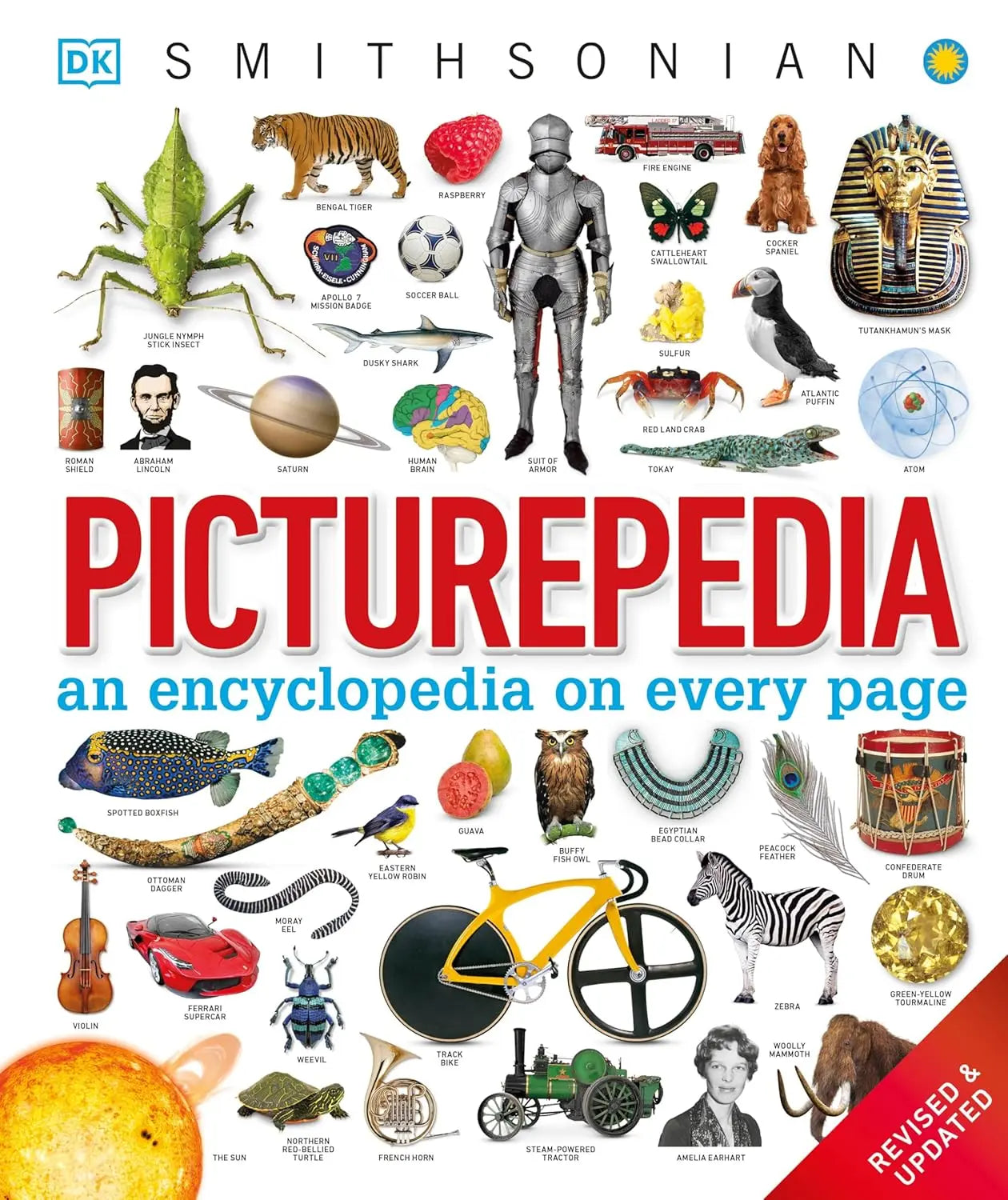 Picturepedia, Second Edition: An Encyclopedia on Every Page DK - Children