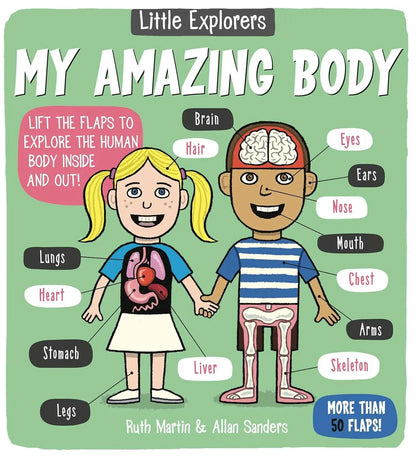 Little Explorers: My Amazing Body little bee books