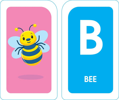 School Zone - Alphabet Flash Cards School Zone Publishing