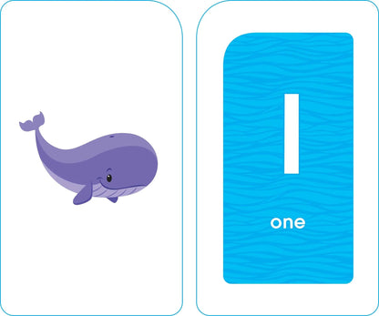 School Zone - Numbers 0-25 Flash Cards School Zone Publishing
