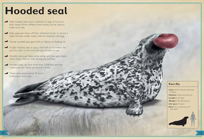 The Magnificent Book of Ocean Creatures Silver Dolphin Books